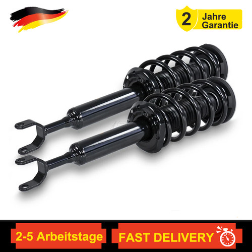 Komplett stoßdämpfer - 2x,